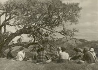 Early hilltop picnic