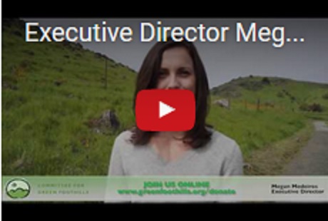 Executive Director Megan Medeiros on Our Annual Report