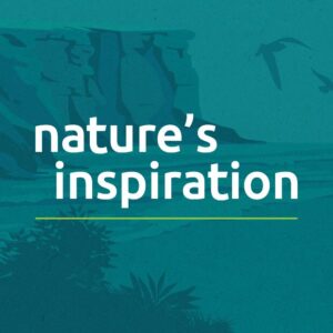 Nature's Inspiration banner 2024 with background image of the coast