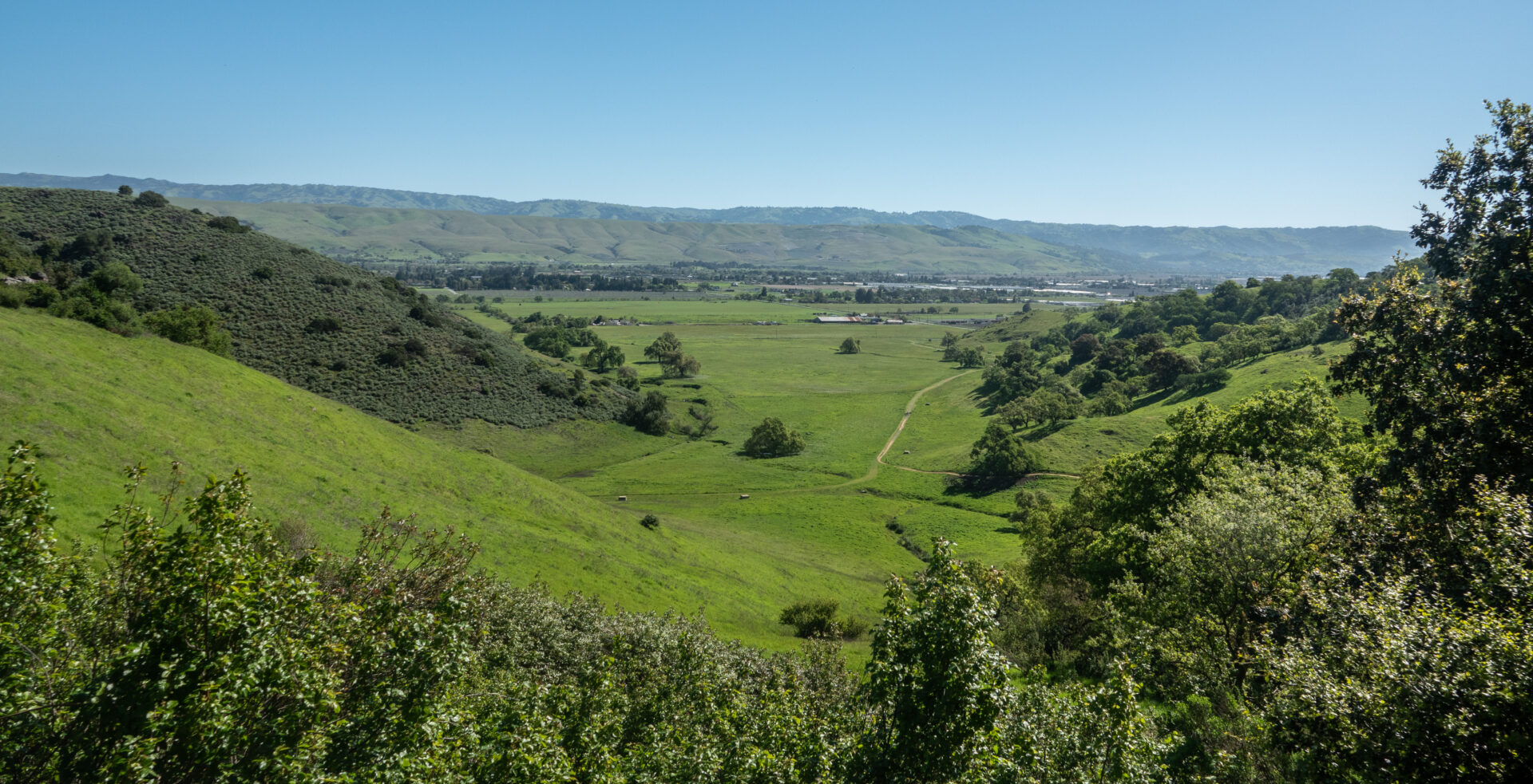 Coyote Valley panoramic view by Dan Quinn
