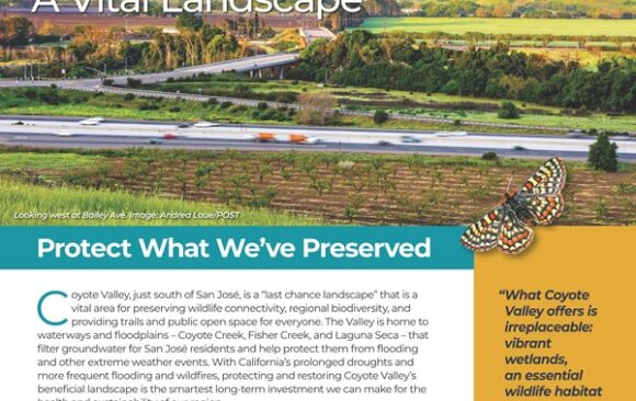 cover of report, "Coyote Valley: A Vital Landscape"