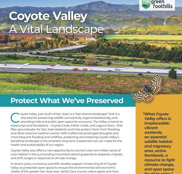 cover of report, "Coyote Valley: A Vital Landscape"