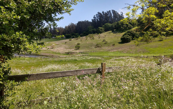 Measure A Will Protect the Environment Far Beyond San Benito County