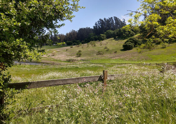 Measure A Will Protect the Environment Far Beyond San Benito County