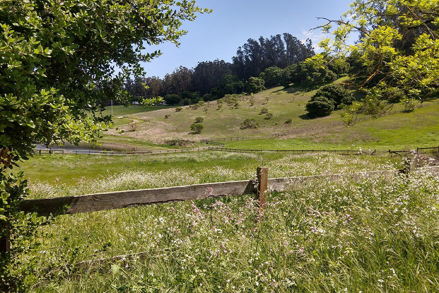 Measure A Will Protect the Environment Far Beyond San Benito County